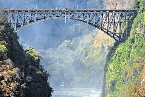 Victoria Falls: Bungee Jump with Photos, Video