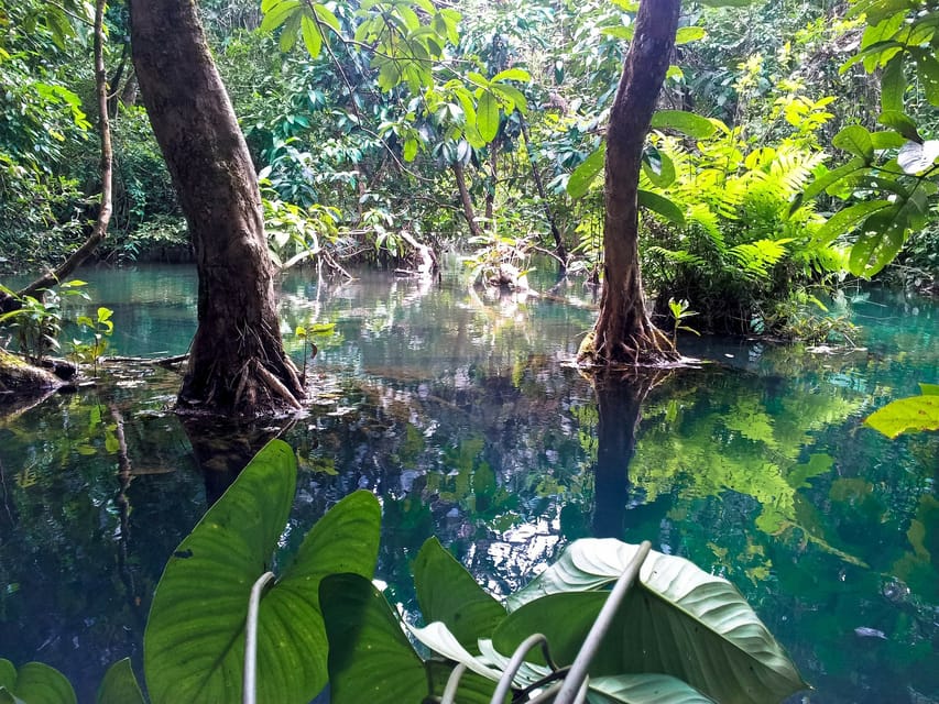 Ho Chi Minh, Private Can Gio Mangrove Forest Day Tour yakınlarında yapılacak şeyler - Hizvo