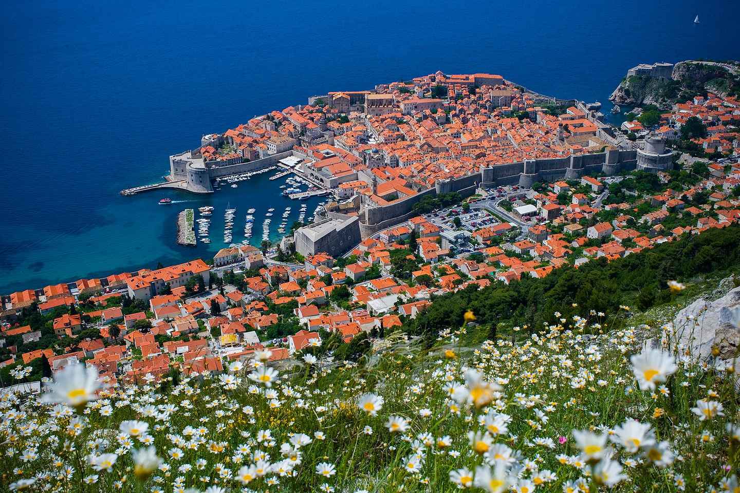 Dubrovnik Panorama and Sr? Guided Tour - Dubrovnik Panorama and Srđ Guided Tour