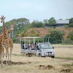 Werribee Open Range Zoo: Biglietto d'ingresso