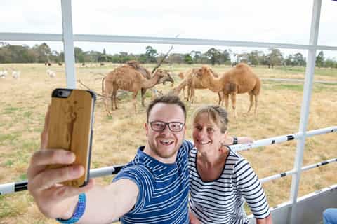 Melbourne: Werribee Open Range Zoo Admission Ticket