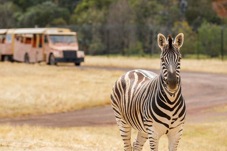 Melbourne: Werribee Open Range Zoo Admission Ticket