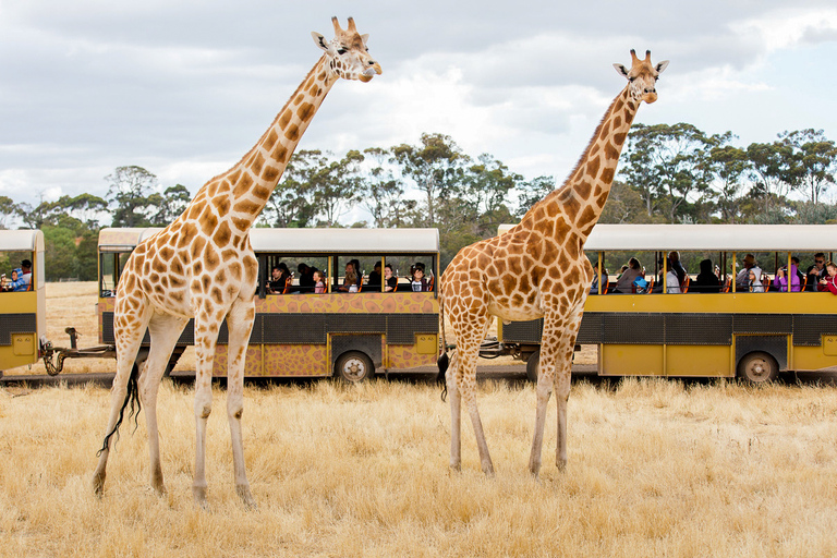 Melbourne Werribee Open Range Zoo Ticket de entradaMelbourne Entrada para el zoo Werribee Open Range