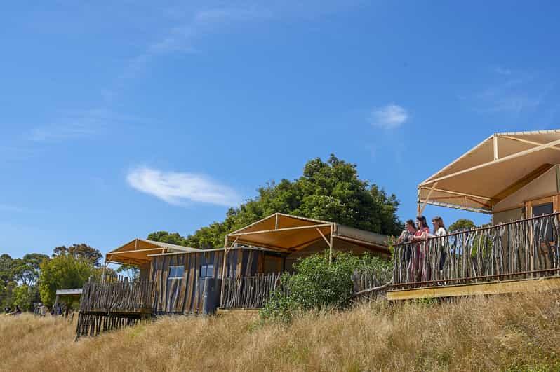 Melbourne Werribee Open Range Zoo Admission Ticket GetYourGuide