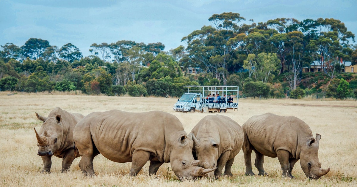 Melbourne Werribee Open Range Zoo Admission Ticket GetYourGuide