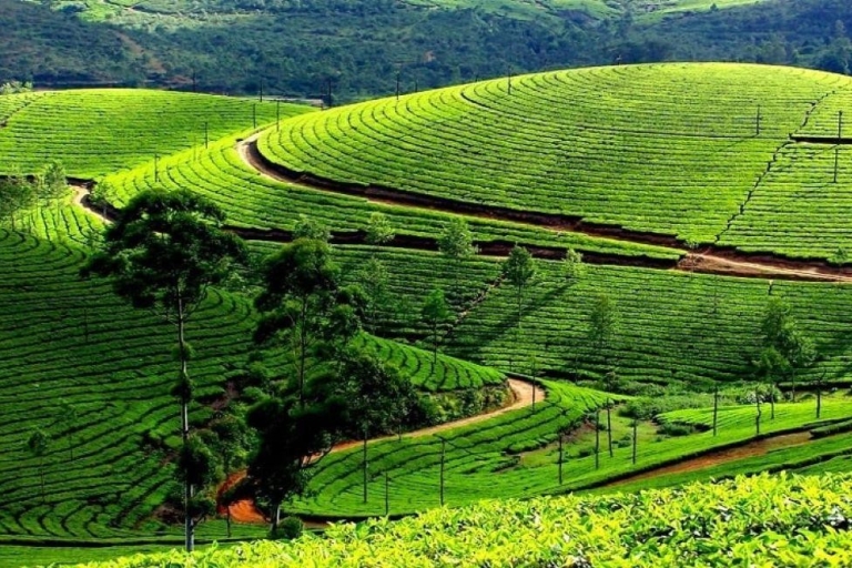 Bangalore, Mysore with Ooty Tour (05 Nights / 06 Days)