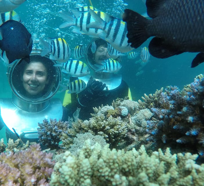 Nusa Dua Underwater Sea Walking Experience Getyourguide