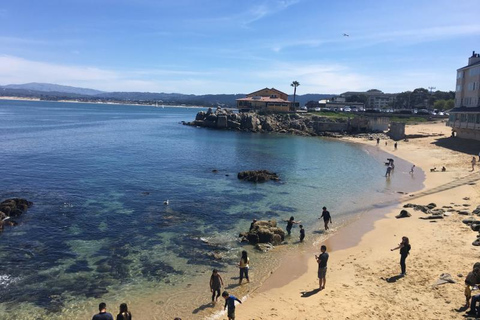 San Francisco: Monterey and Carmel Day Trip w/ 17-Mile Drive From San Francisco: Monterey and Carmel Day Tour