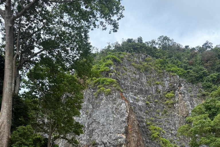 Krabi: Ethical Elephant Sanctuary & Tiger Cave Temple Tour