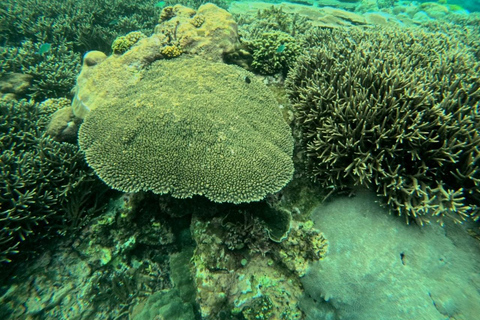 Blue Lagoon Snorkeling Tour particular em um barco com deckBarco privativo no deque ao sol Ponto de encontro para mergulho com snorkel na Lagoa Azul