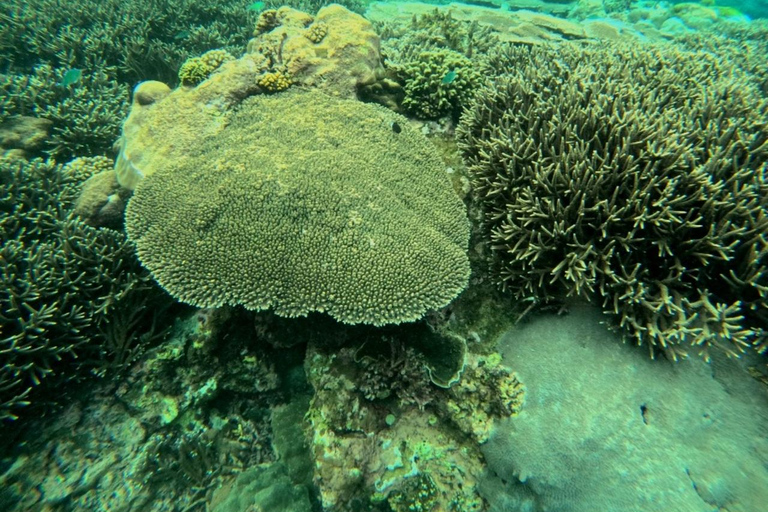 Blue Lagoon Snorkeling Tour particular em um barco com deckBarco privativo no deque ao sol Ponto de encontro para mergulho com snorkel na Lagoa Azul