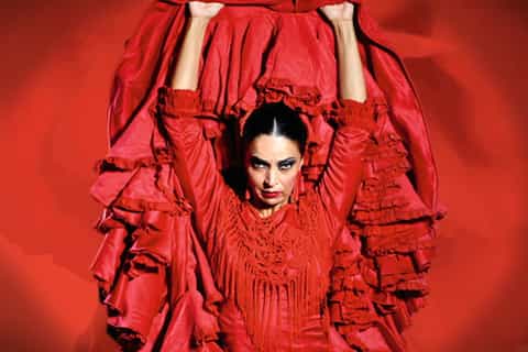 Madrid: "Emociones" Live Flamenco Performance