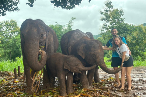 Chiang Mai: Elephant Sanctuary & Thai Cooking Workshop Meeting Point In Town