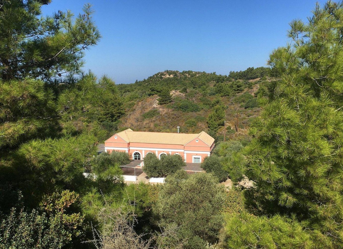 Rhodos: Rundvisning på vingård og vinsmagning