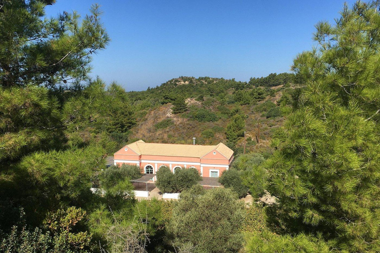 Rodas: Visita a Bodegas y Degustación