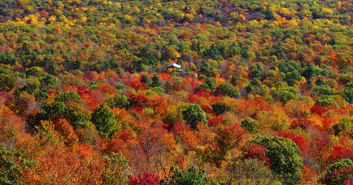 Private Fall Foliage Helicopter Tour of the Hudson Valley GetYourGuide