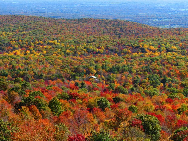 Visit Private Fall Foliage Helicopter Tour of the Hudson Valley in Lake Glenville
