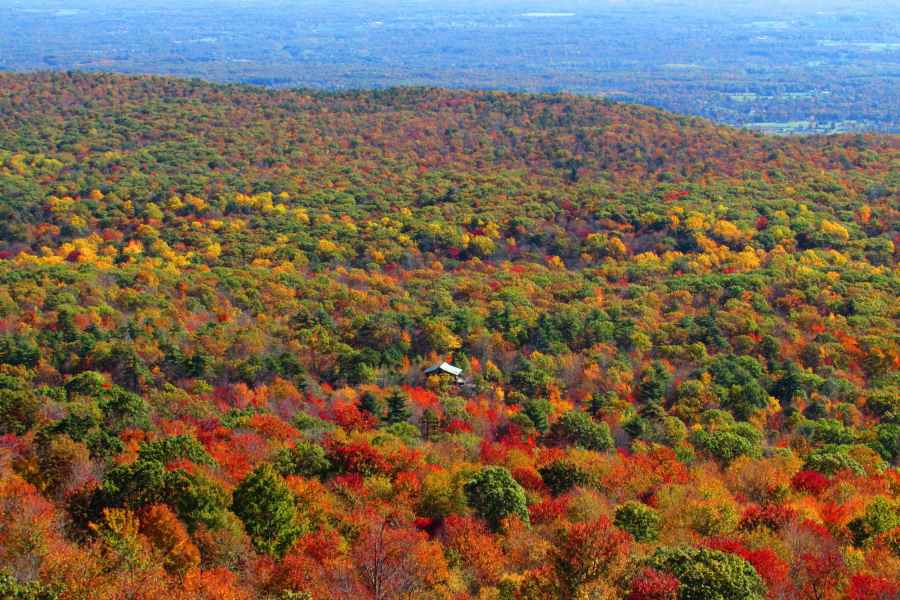 Private Herbstlaub-Helikopter-Tour durch das Hudson Valley. Foto: GetYourGuide