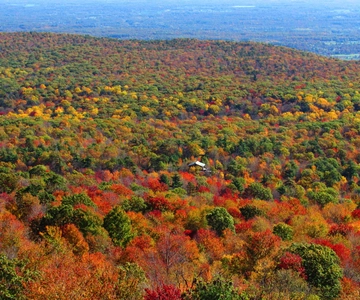 Privat helikoptertur med efterårsløv i Hudson Valley