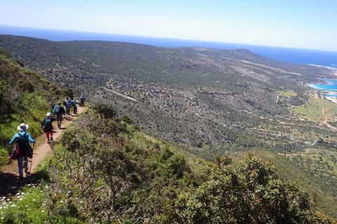 from limassol akamas 8hour panoramic walk