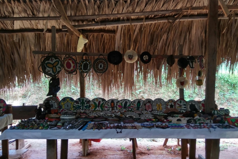 Panama-stad: trip naar Monkey Island en inheems Embera-dorpTour in het Spaans of Portugees
