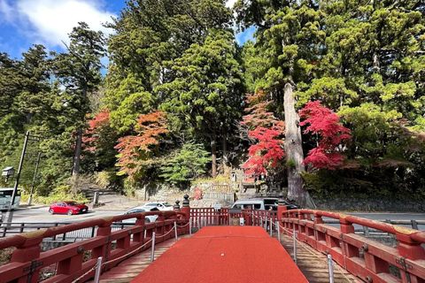 Tokio: Nikko – Private &amp; anpassbare Sightseeing-Tagestour