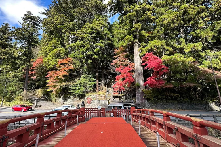 Tokio: Nikko – Private &amp; anpassbare Sightseeing-Tagestour