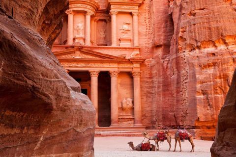 Depuis Amman : excursion privée d'une journée à Petra avec guide