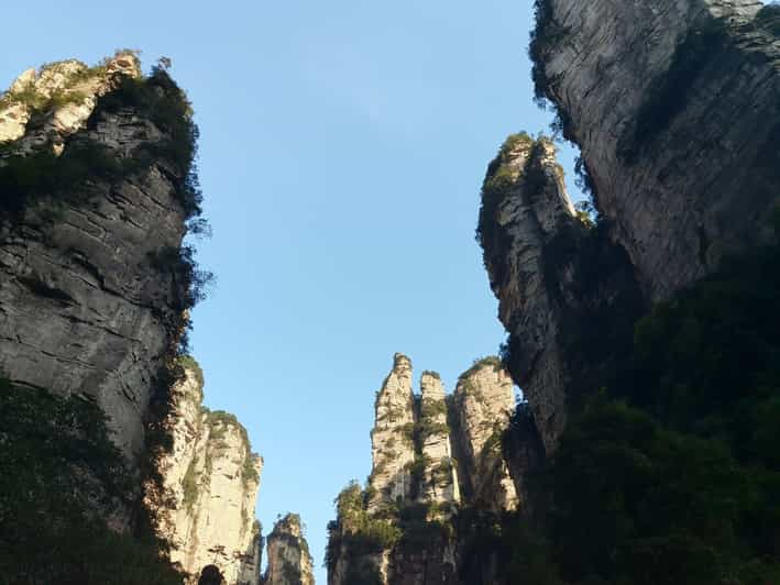 Zhangjiajie National Forest Park Private Tagestour Getyourguide