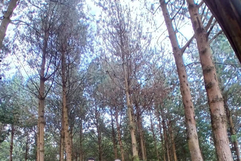 From Arusha: Ilkidinga Village and Napuru Waterfalls Tour