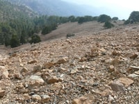Troodos walking trip - Hizvo