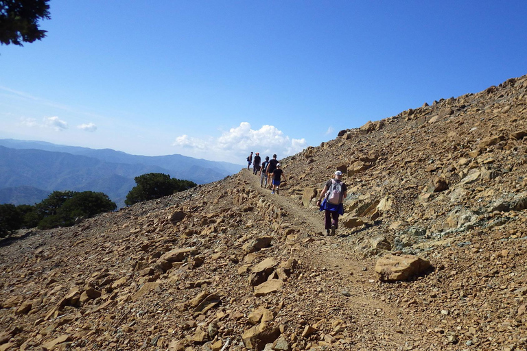 Troodos walking trip From Nicosia: Troodos Walking Trip - 8 - hour trip