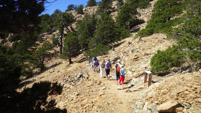 Visit Troodos walking trip in Troodos Mountains, Cyprus