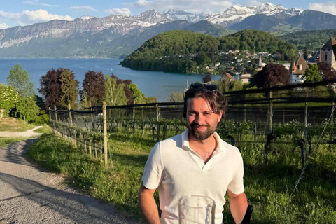Interlaken: Wine & Cheese Tasting at Spiez Castle Vineyards