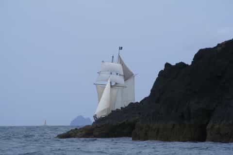 Bay of Islands: Full-Day Tall Ship Sailing Excursion