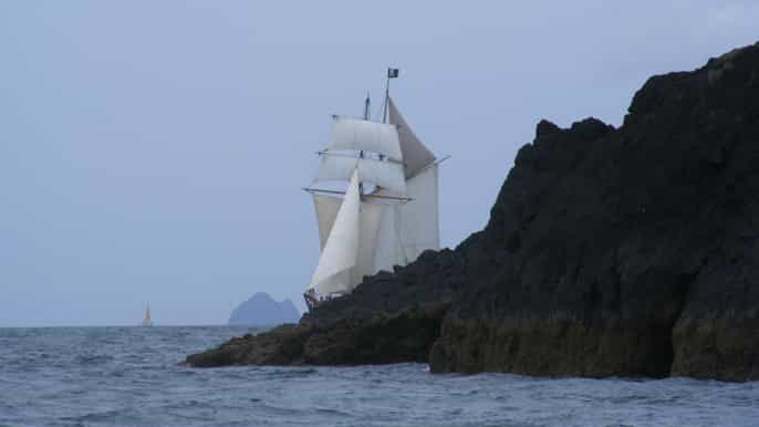 bay of islands fullday tall ship sailing excursion