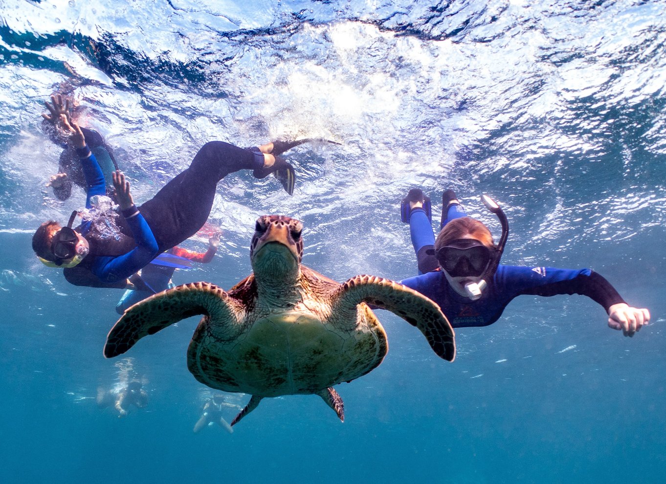 Marine Eco Safari - Svøm med mantaer