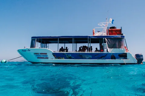 Tour en barco con fondo de cristal por la Bahía de Coral