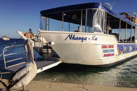 Coral Bay Glass-Bottom Boat Tour