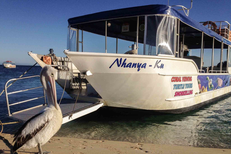 Coral Bay Glass-Bottom Boat Tour
