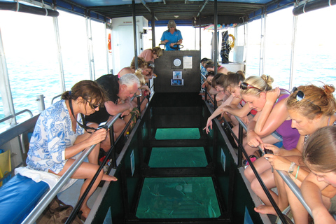 Coral Bay Glass-Bottom Boat Tour