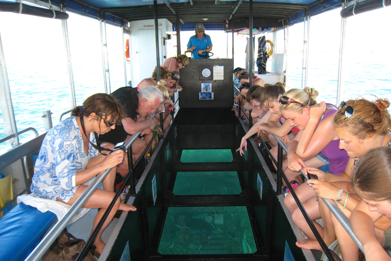 Coral Bay Glass-Bottom Boat Tour