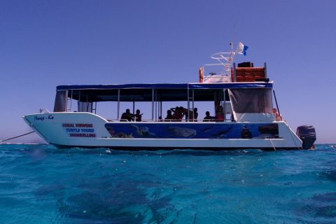 Coral Bay: 2-Hour Coral Viewing and Snorkeling