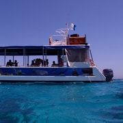 Coral Bay: 2-Hour Coral Viewing and Snorkeling