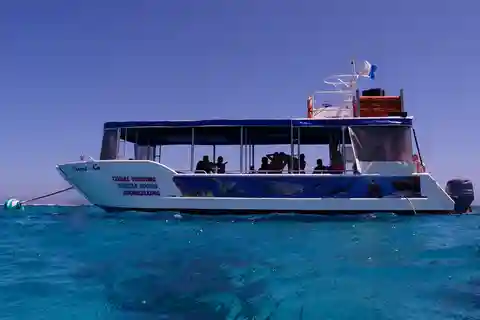 Bahía del Coral: 2 horas de observación de corales y snorkel