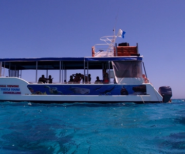 Coral Bay: 2-Hour Coral Viewing and Snorkeling