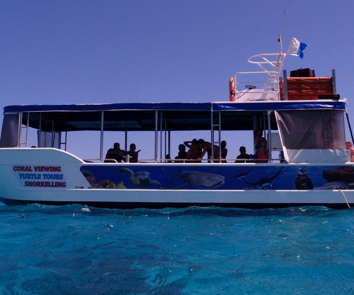 Coral Bay: 2-Hour Coral Viewing and Snorkeling