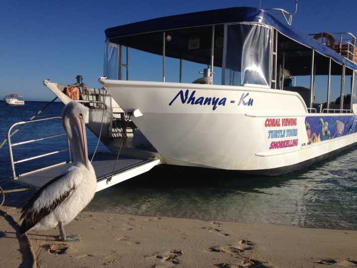 Coral Bay: Ningaloo Reef 3-Hour Turtle Ecotour