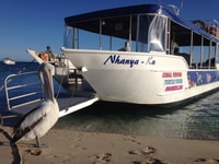 Coral Bay, Ningaloo Reef 3-Hour Turtle Ecotour - Housity