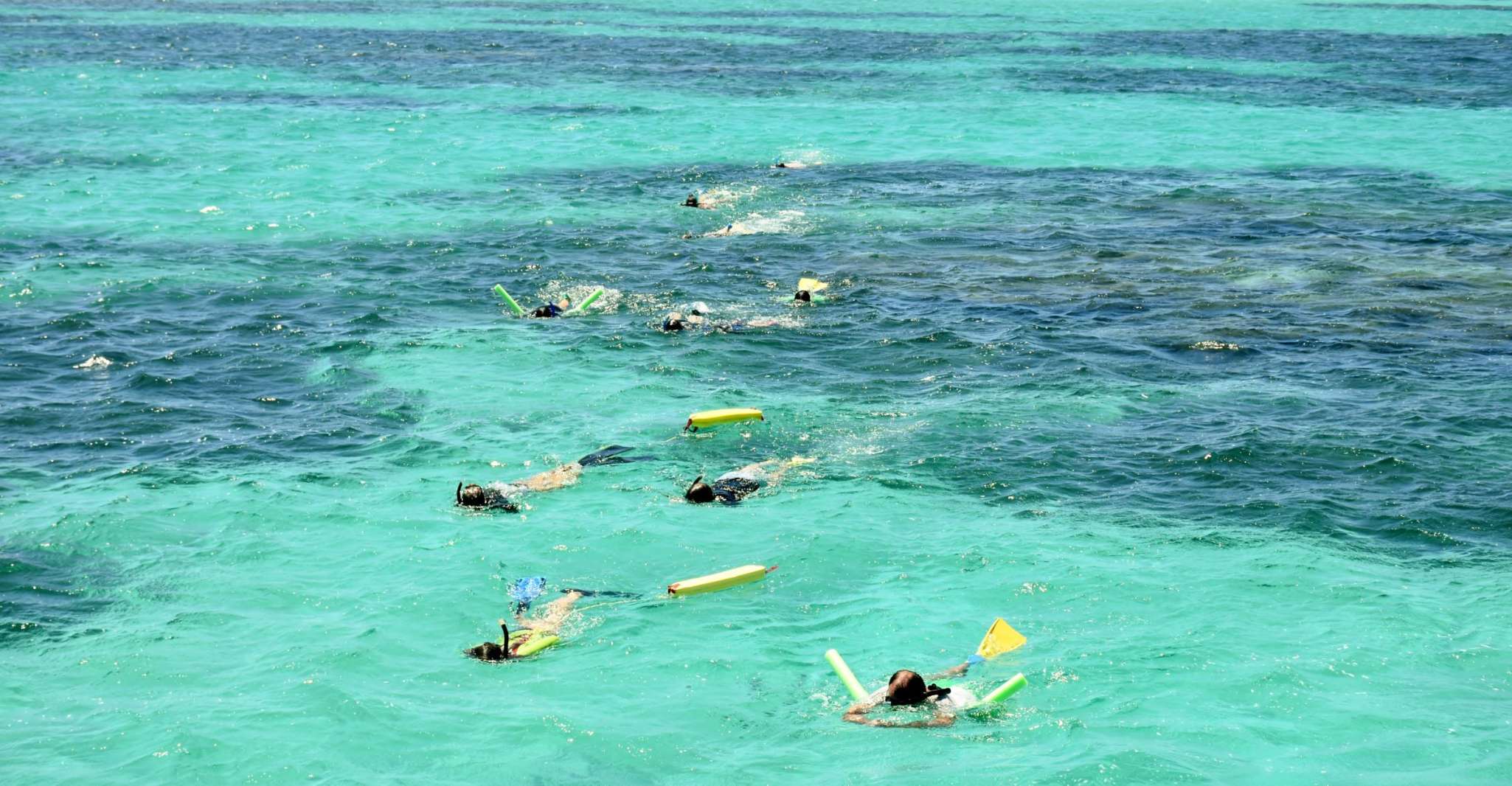 Coral Bay, Ningaloo Reef 3-Hour Turtle Ecotour - Housity